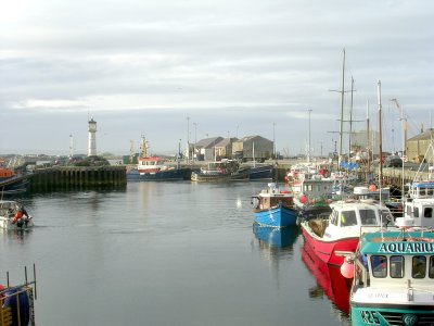 Kirkwall Harbor.